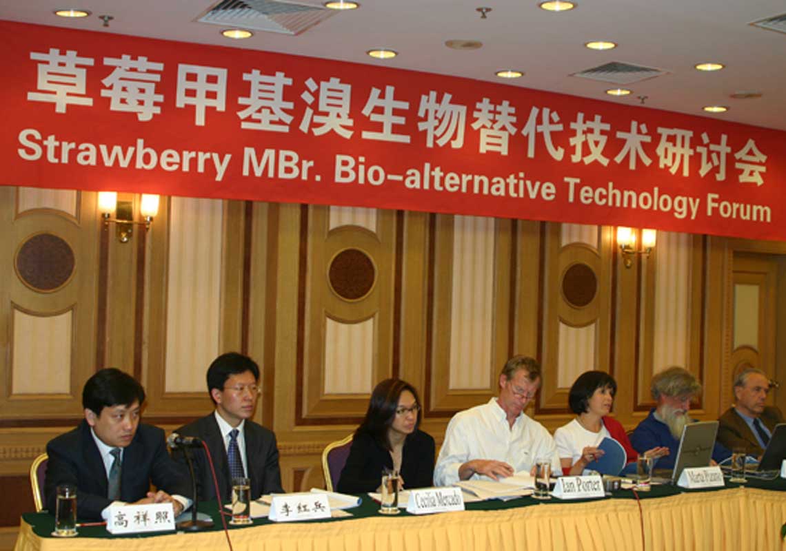 聯(lián)合國環(huán)境署、聯(lián)合國工發(fā)組織等機構(gòu)出席了我公司舉行的草莓甲基溴生物替代技術(shù)研討會