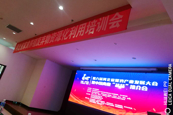 領(lǐng)先康地參加第六屆(2018)河北省蛋雞產(chǎn)業(yè)發(fā)展大會(huì) 暨中國(guó)禽業(yè)“芯品”推介會(huì) 領(lǐng)先康地參加第六屆(2018)河北省蛋雞產(chǎn)業(yè)發(fā)展大會(huì) 暨中國(guó)禽業(yè)“芯品”推介會(huì)